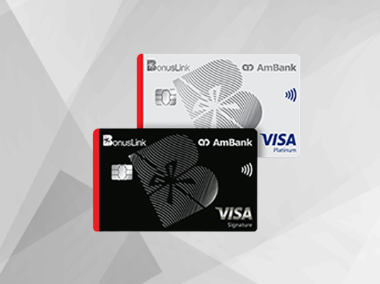 Enrich Visa Credit Card