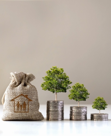 Trees Growing on stacks of coin